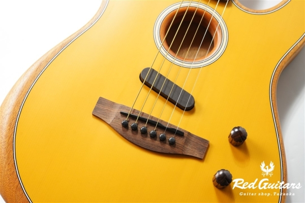 Acoustasonic Player Telecaster - Butterscotch Blonde